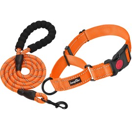 haapaw 2 Packs Martingale Dog Collar with Quick Release Buckle Reflective Dog Training Collars for Small Medium Large Dogs (Collar+Leash, L Neck 17"-21", Orange, 1+1 Packs)