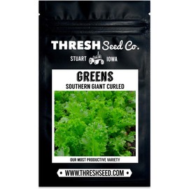 Southern Giant Curled Mustard - 500 Seeds