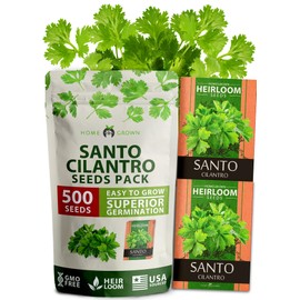 HOME GROWN (Fast Growing Variety) 500+ Cilantro Seeds for Planting Indoors or Outdoors - Non-GMO, Heirloom Herbs, Coriander Plant Seeds - Santo Cilantro Herb Seeds for Your Indoor Herb Garden