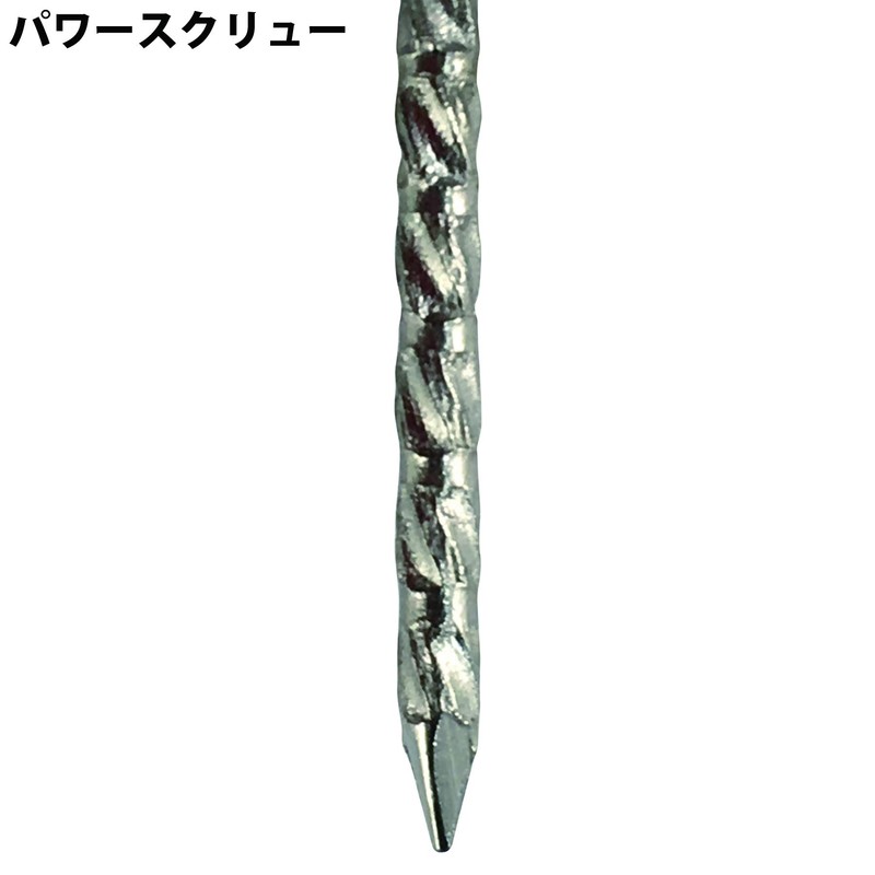 Daidohant 10179666 Stainless Steel Power Screw Nails, Round Head (Diameter: