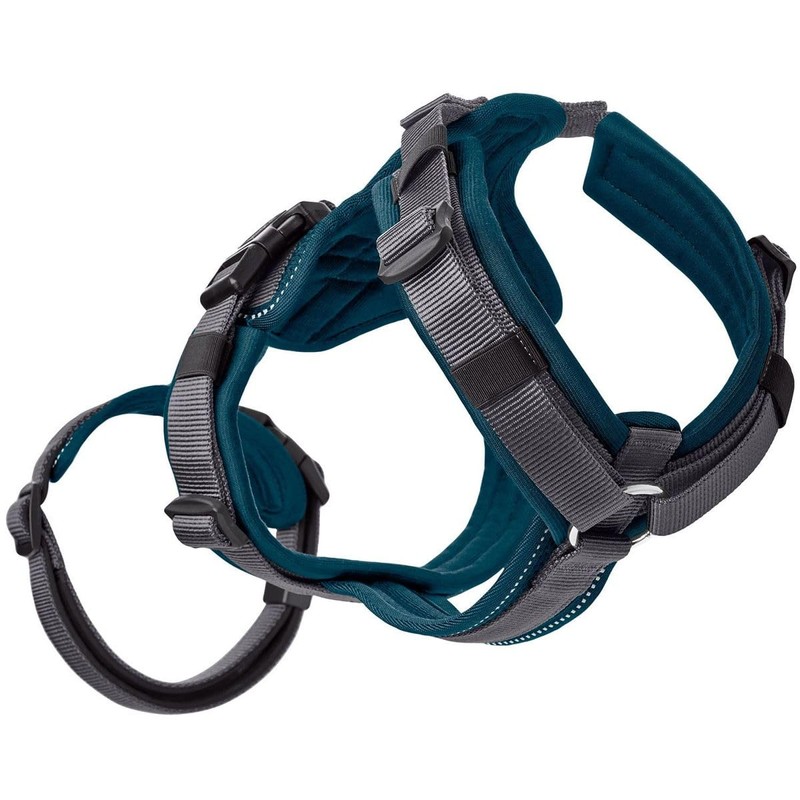 Maldon Safety Harness, Petrol/Grey, Size XS-S