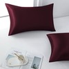 Satin Pillowcases Set - 2 Pack Microfiber Pillowcases for Radiant