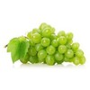 Generic Thompson Seedless Table Grapes - one Year Old Potted