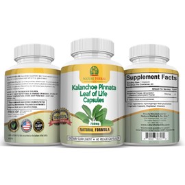Nature Herbal Life Kalanchoe Pinnata-Leaf of Life (Bryophyllum Pinnatum)Lao Di Sheng Gen, Capsules. 1 Bottle-750mg, 60 Count (Pack of 1)