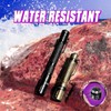 Ansyper CC UV Flashlight 2 Pack 395nm Ultraviolet, Black Light