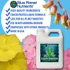 Liquid Seaweed for Plants (32 oz) Quart | Concentrated Liquid
