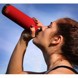 Cloud9 Plastic-Free Vacuum-Insulated Double-Wall Thermal Stainless Steel Tea Bottle With Tea/Fruit Strainer, 15 oz/450 ml (Burgundy)