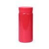 Small Thermos Flasks Stainless Steel - Cute Water Bottle, Vacuum