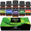 ORIGINAL NATURES OILS Kit de 5 aceites Esenciales para difusor