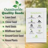 Outsidepride 25 Seeds Oyster Plant Leaf Seeds for Planting Indoors