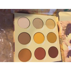 Colourpop Lil Ray Of Sunshine Limit Eye Shadow Palette New In Box