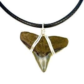 JJ Maybank Shark Necklace - Necklace Length: 18 Inches