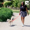 RC Pets Gentle-Fit Trail Smart Reflective Pace No Pull Harness