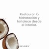 Dr. Natural Acondicionador Sin Sulfatos y Parabenos | Tratamiento para
