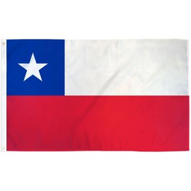 B&Y 2x3 Chile Flag Chilean Country Banner South America Pennant Bandera 24x36 inch