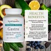 Transformation Enzyme - Gastro, Supplement with Herbs Formulated to Alleviate