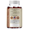 Sakoon nutrition Lions Mane Mushroom Gummies with Turkey Tail, Reishi