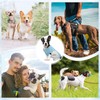 DELIFUR 2 Pack Dog Cooling Shirts- Quick Dry Sun Protection