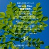 【有機JAS認証 無添加 無農薬】 健康とボディメイクに新習慣 オーガニック・モリンガパウダー 60g（2g × 30包） 個包装 モリンガ100%