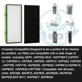 HAPF300AH True HEPA Filter Replacement Compatible with Holmes AER1 HAPF300AH-U4R, HAP242-NUC, Bionaire Air Purifier, Includes 2 HEPA Filters + 4 Carbon Pre-Filters