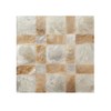 Shell Coasters, Set of 5, Asian Goods, Natural Shells, Capiz,