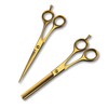 Professional 6.5 Inch Hair Scissors & Thinning Shears Texturing Set