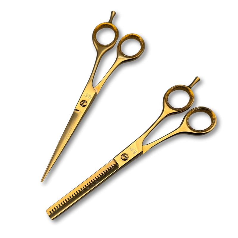 Professional 6.5 Inch Hair Scissors & Thinning Shears Texturing Set