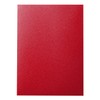 JINSELF HE-150 Red Samurai Sleeves 2 Fine Embossed Color Card