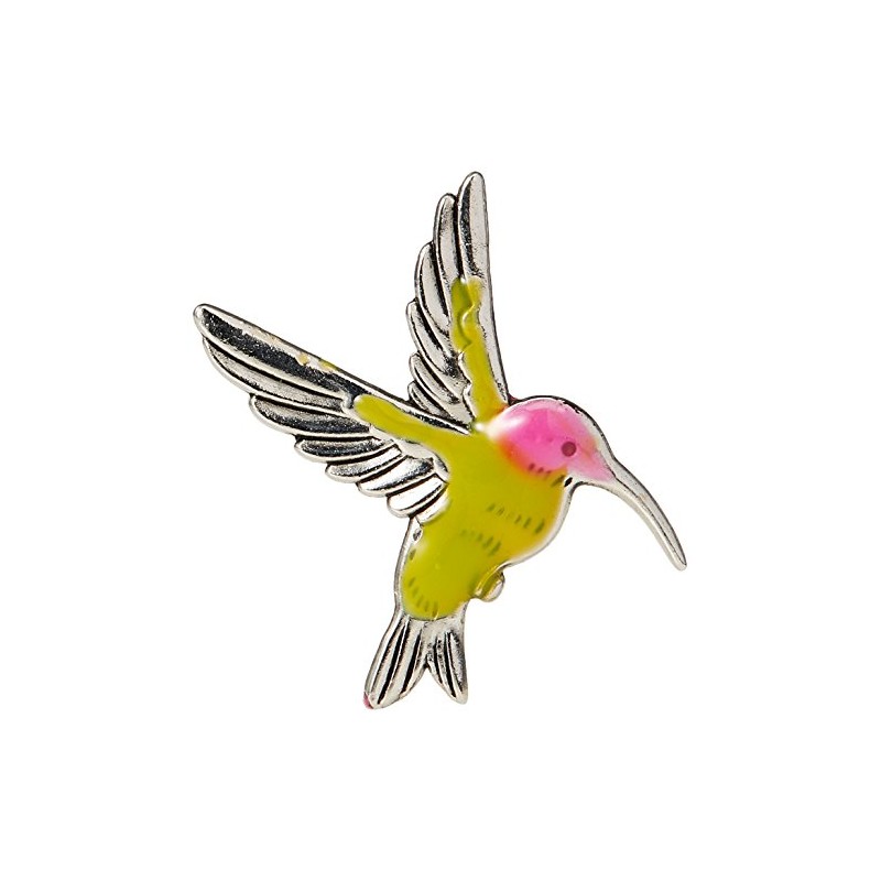 The Hummingbird Symbol of Life and Joy Charm with Story