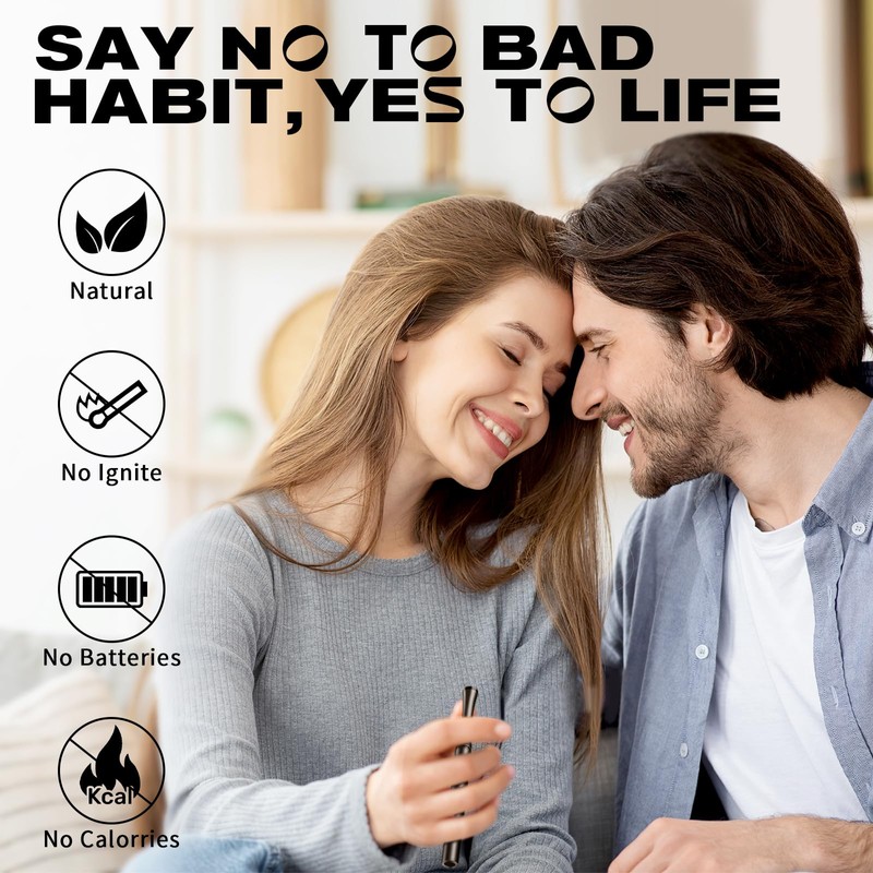 Boderi Quit Inhaler Stainless Steel with 4 Packs Double Mint