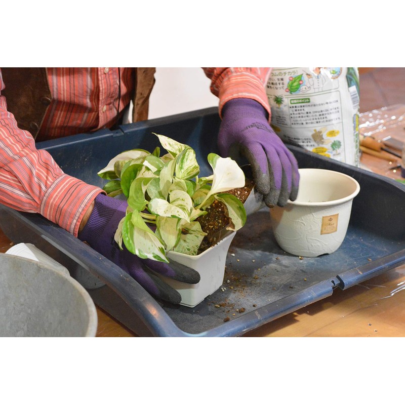 Hanagokoro House Plant Soil 6.6 gal (2 L)