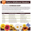 Dirt Goddess Super Seed~ Nasturtium, Tall Trailing Mix Seed~ Tropaeolum