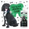 BUGALUGS BUGALUGS Dog Breath Freshener Dental Care Water Additive. Clean
