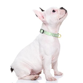Rnivvi Dog Collar for Small Dogs, Cute Floral Heavy Duty Adjustable Puppy Collar with Quick Release Buckle for Girl & Female, Pet Accessories for Walking Running, XS Length 5/8" Width, Green