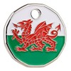Harts 1 x Welsh Dragon New 12 Sided £1 size