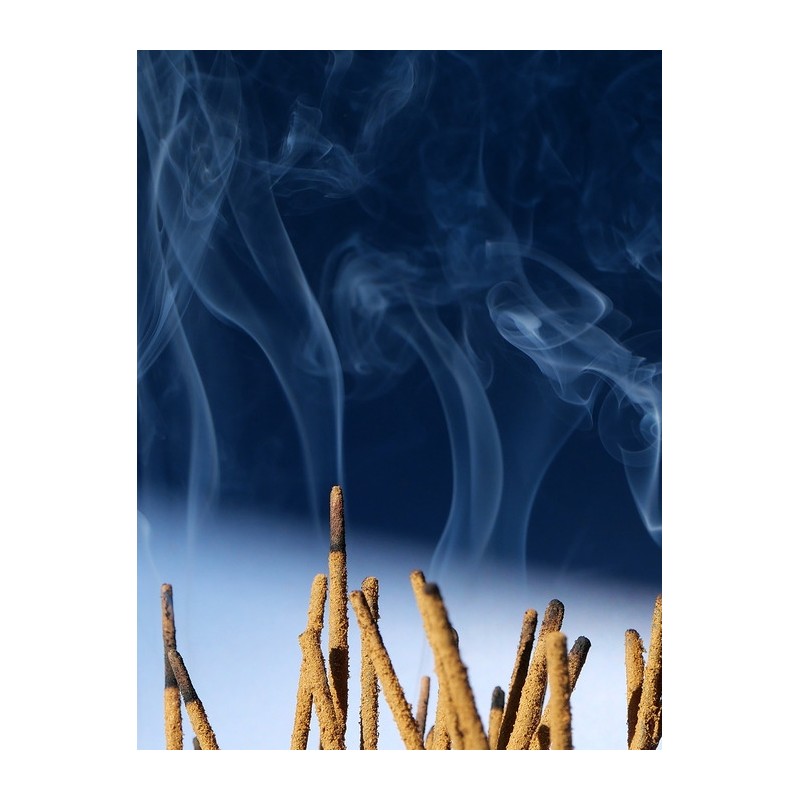 [1+1] Nag Champa Incense Stick 2 Fragrance Combo 16g /
