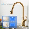 FLG Single Hole Hot Cold Water Mixer Sink Pull Out