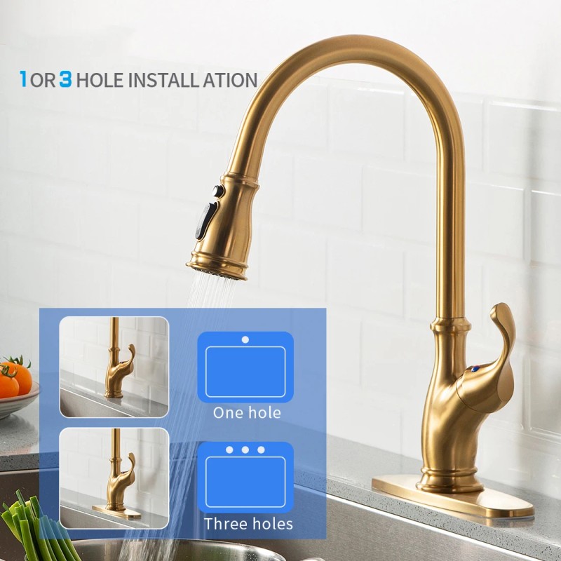 FLG Single Hole Hot Cold Water Mixer Sink Pull Out