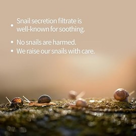 Benton [Benton]*renewal* Snail Bee High Content Cream 50ml