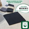 Protea Set of 6 Eco Kitchen Towels & Dishcloths Compostable