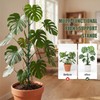 Yeomant 6 Pack Stackable Monstera Plant Support Stakes, Plant Stakes