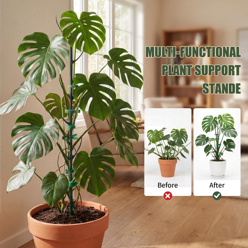 Yeomant 6 Pack Stackable Monstera Plant Support Stakes, Plant Stakes