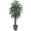 Vickerman 6' Artificial Mango Executive Tree, Brown Round Plastic Container.