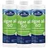 BioGuard Algae All 60-1 Quart, Pack of 3, Non-Foaming Algae