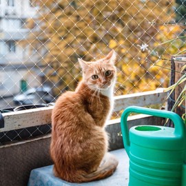 Cat Protection Net, 3 x 10 m, Bird Protection Net, Tight Mesh, Pigeon Net, Mesh Size 2.5 x 2.5 cm, Tear-Resistant, Reusable, No Drilling, for Garden, Balcony, Vegetable Gardens or Fruit Trees (White)