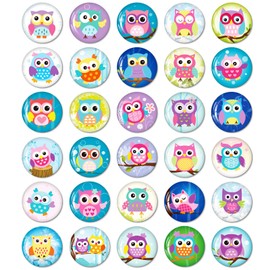 Pack of 30 Owl Fridge Magnets for Fridge Cute Funny Magnets Kitchen School Cupboards Classroom Whiteboard Office Cabin Magnetic Board Decorative Magnets Gifts for Adults Children