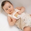Nattou Small Comforter Doudou Lion FLO, OLI, ERNEST, 19 cm,