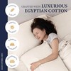 Ashton Sheets 100% Egyptian Cotton Pillow Cases King Size Set