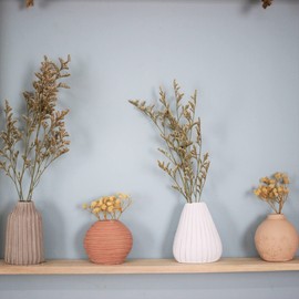 Sifcon International plc Dry Flowers IN Hanging Frame with Rope