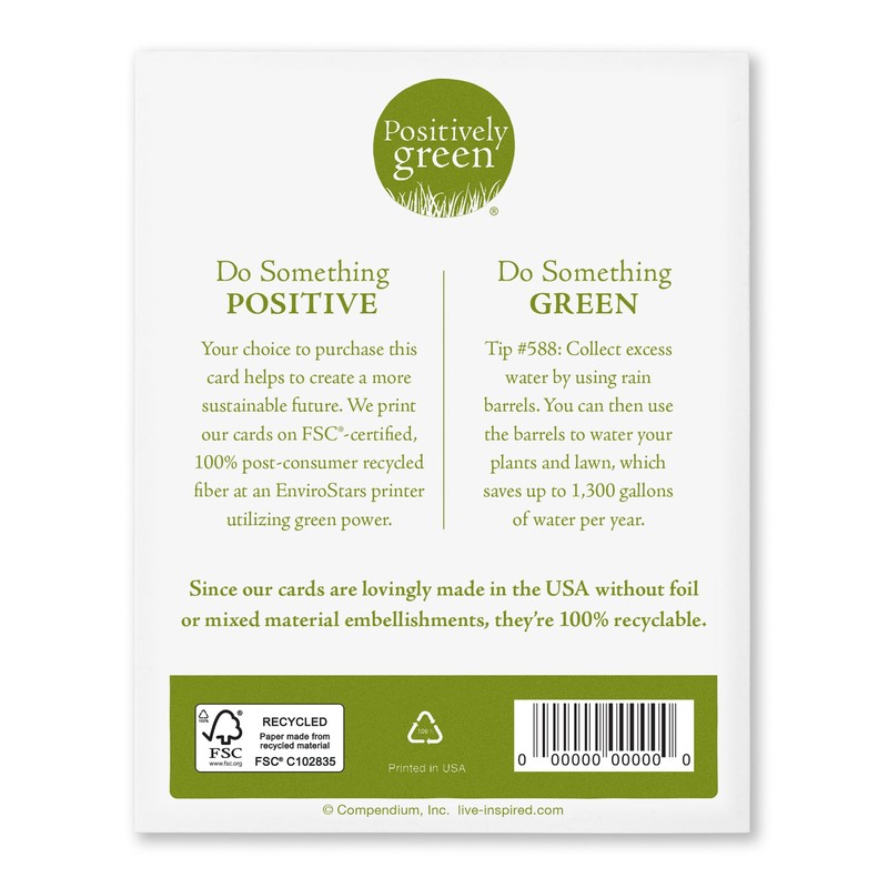 Positively Green: 4 Pack Birthday Card Bundle (Set 1)